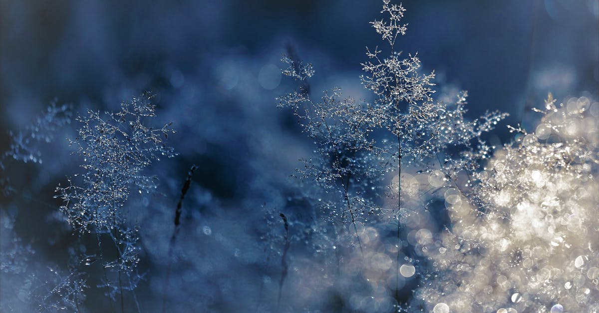 7 Common Issues Faced by Air Cooled Chillers