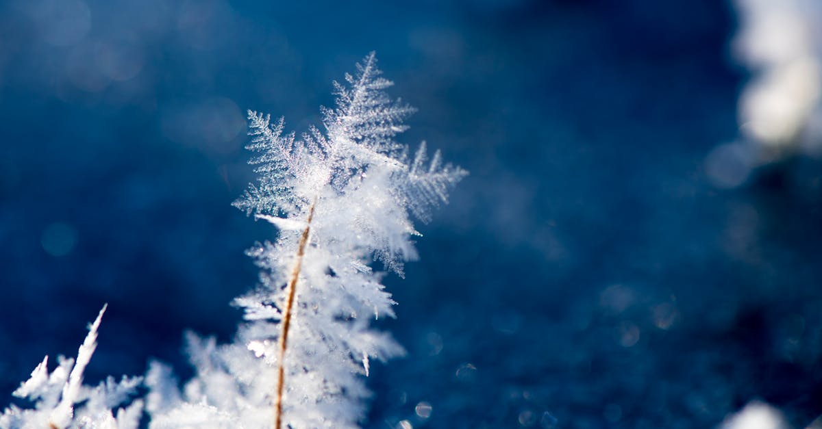 7 Key Benefits of Using Portable Chillers for Events