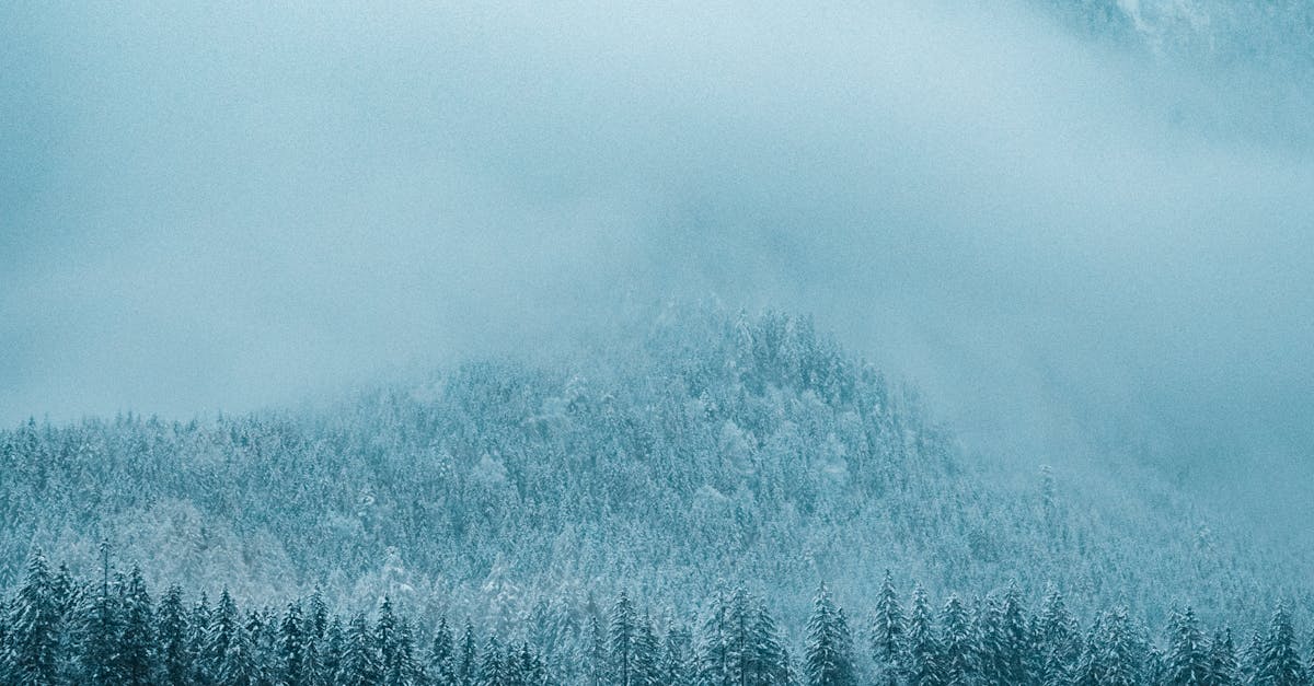 How to Improve the Efficiency of Screw Chillers