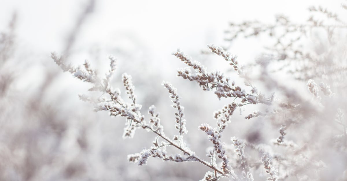 How to Optimise Efficiency in Centrifugal Chillers