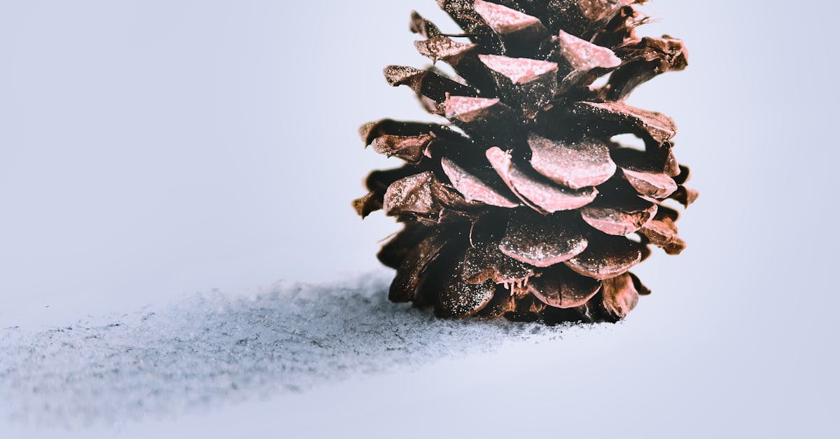 How to Select the Right Air Cooled Chiller for Commercial Refrigeration