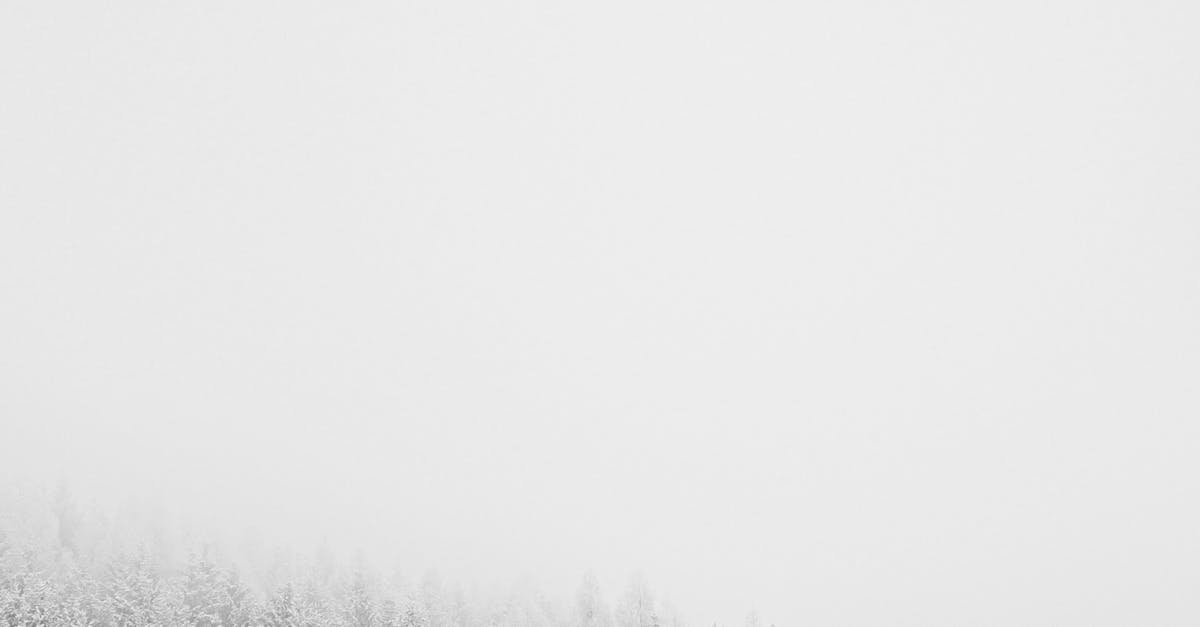 Roundup of Best Practices for Using Portable Chillers