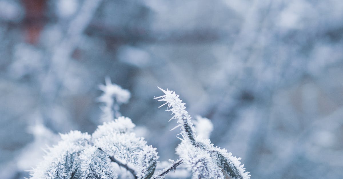 What Are the Benefits of Using Modular Chillers