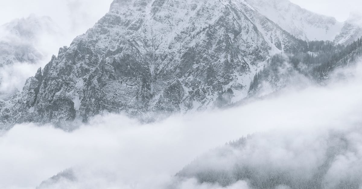 What is a Portable Chiller and How Does It Work?