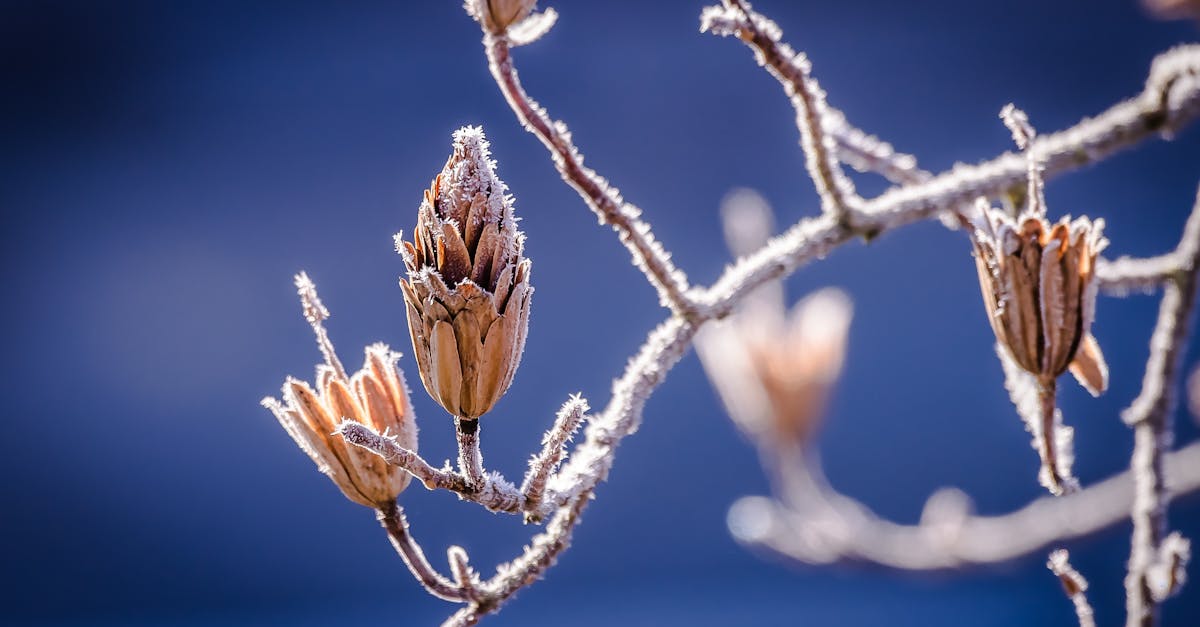 Why Servicing Components Can Extend Chiller Lifespan